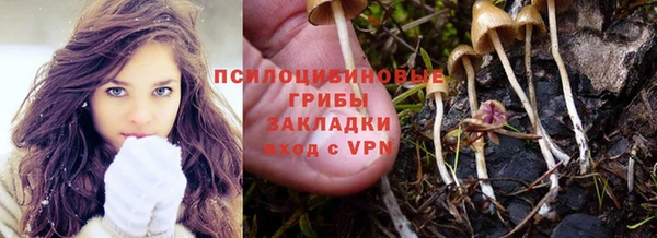 мет Арсеньев