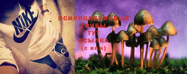 мет Арсеньев