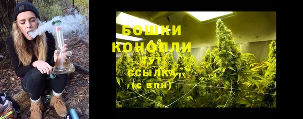 мет Арсеньев