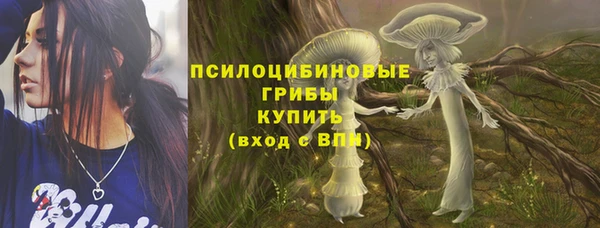 мет Арсеньев