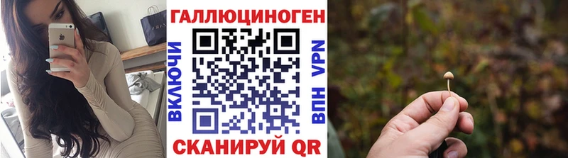 Купить где  Урус-Мартан  Галлюциногенные грибы прущие грибы 